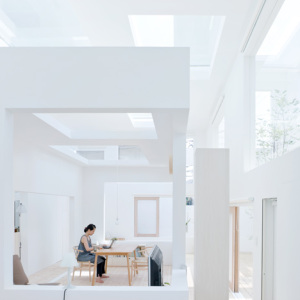 dezeen_house-n-by-sou-fujimoto-architects-2a