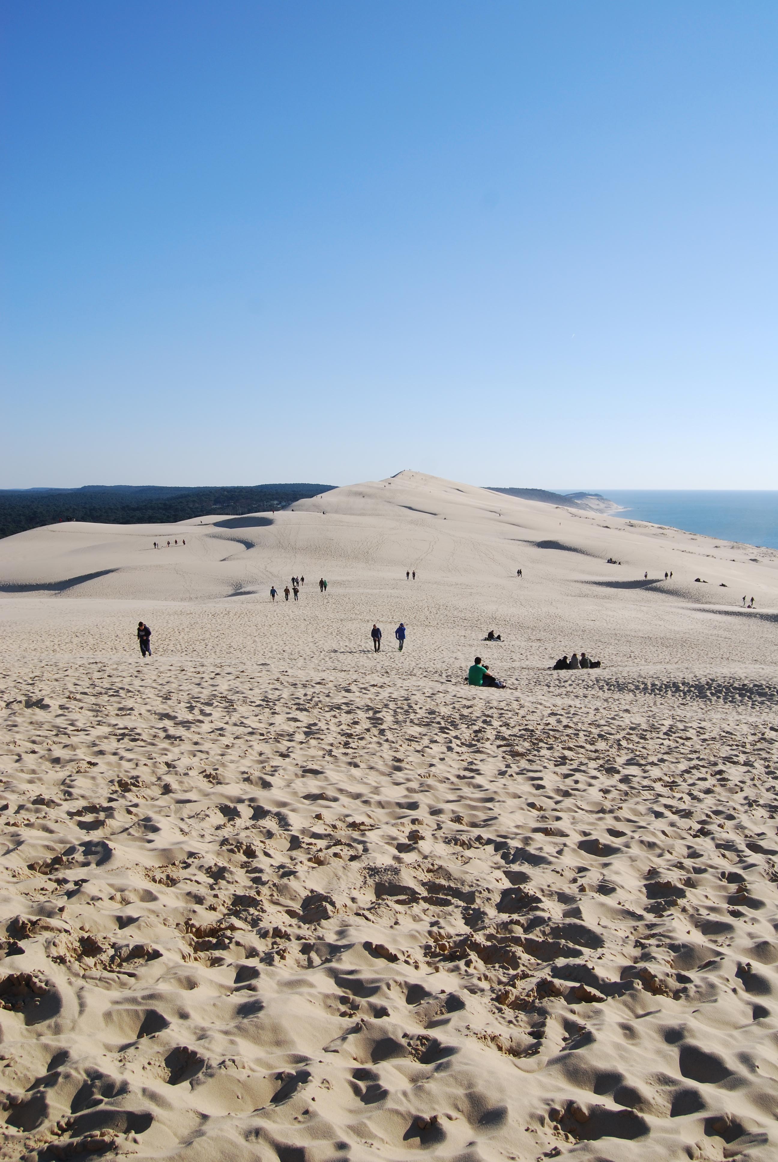 catesthill-bordeaux-sand-dunes-1