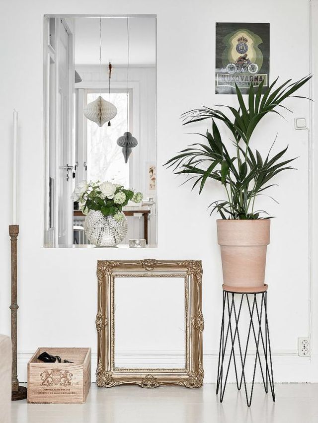 plants-in-the-home-pinterest-8